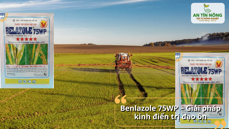 Benlazole 75WP – dòng thuốc trị đạo ôn kinh điển, hiệu quả ổn định.