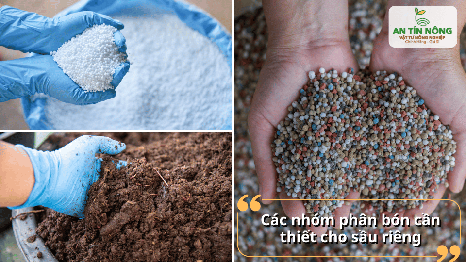Lựa chọn đúng nhóm phân bón giúp cải tạo đất, kích thích rễ và tăng hiệu quả hấp thu dinh dưỡng.