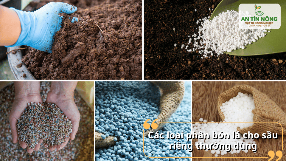 Các loại phân bón lá phổ biến giúp bổ sung vi lượng và đa lượng cho sầu riêng.