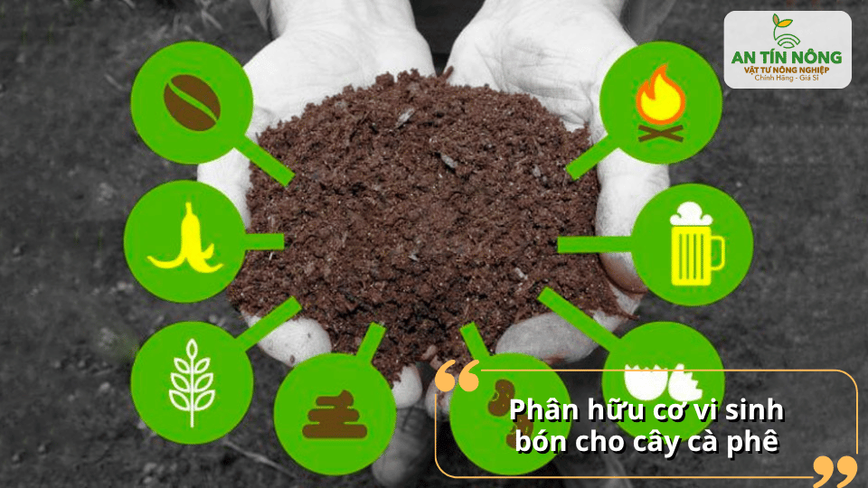 Phân hữu cơ vi sinh giúp bổ sung lợi khuẩn, phục hồi hệ đất và rễ cây.