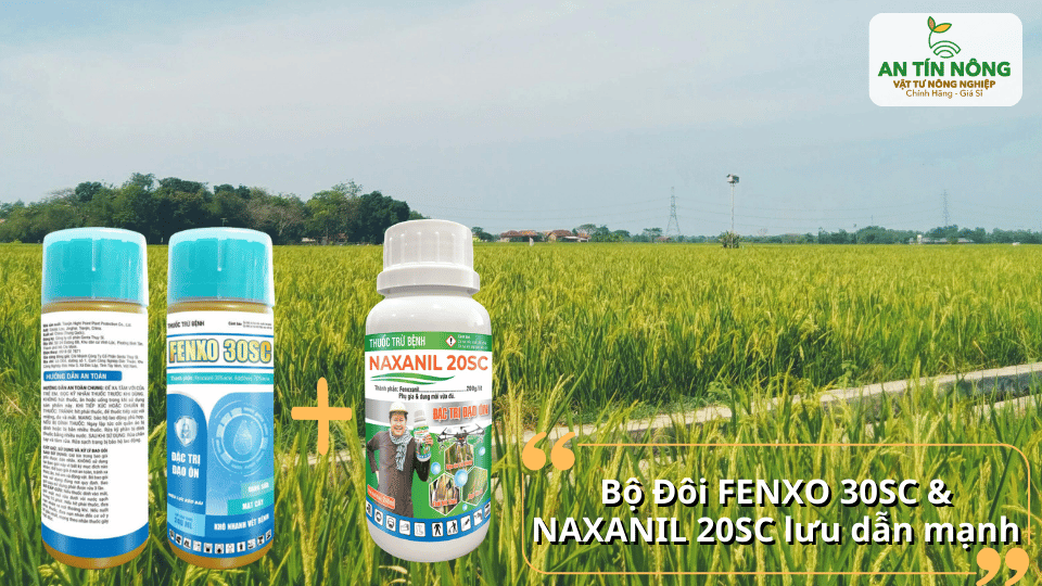 Bộ đôi Fenxo 30SC & Naxanil 20SC – lưu dẫn mạnh, bảo vệ lúa toàn diện.