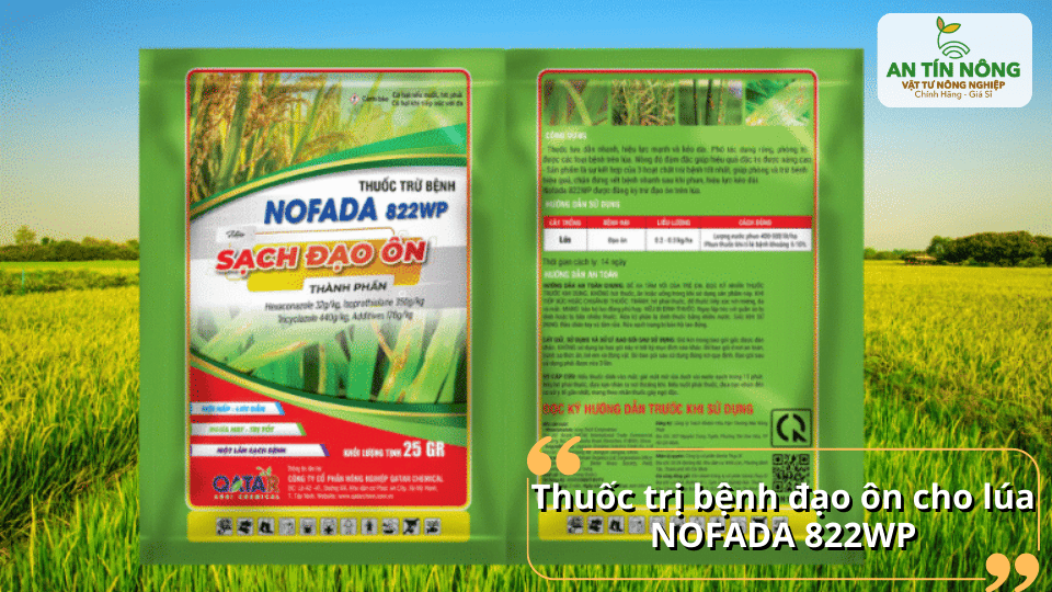 Nofada 822WP – giải pháp sạch đạo ôn, hạn chế tái phát bệnh.