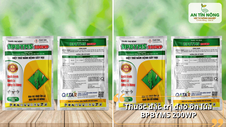 BPBYMS 200WP – thuốc đặc trị đạo ôn lá và đạo ôn cổ bông nhanh chóng.
