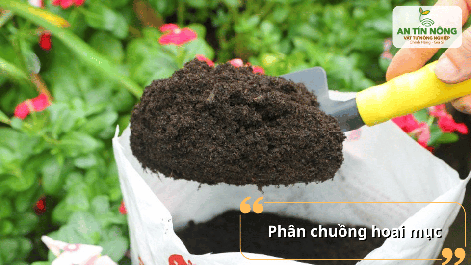 Cung cấp chất hữu cơ và vi sinh vật có lợi giúp đất màu mỡ và hỗ trợ rễ phát triển mạnh.