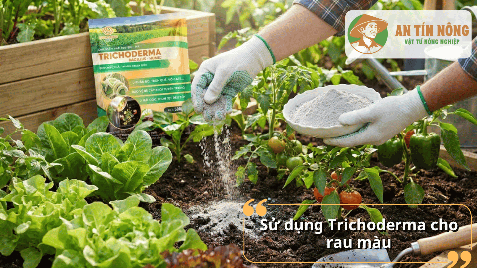 Giúp đất sạch mầm bệnh, rau phát triển xanh tốt tự nhiên và giảm phụ thuộc vào thuốc hóa học