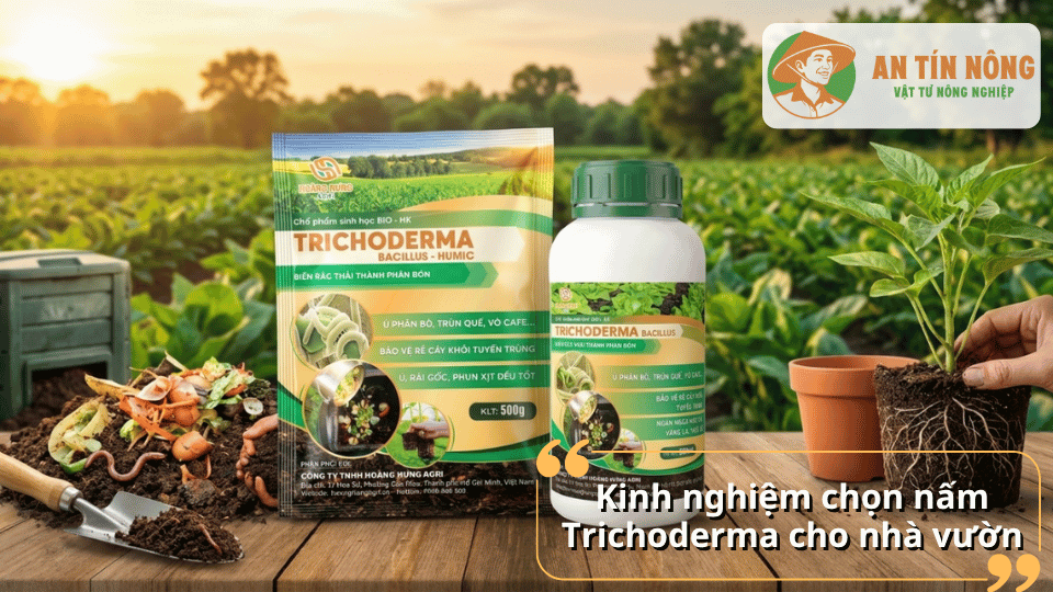 Ưu tiên sản phẩm có mật độ vi sinh cao, nguồn gốc rõ ràng và phù hợp với từng loại cây trồng