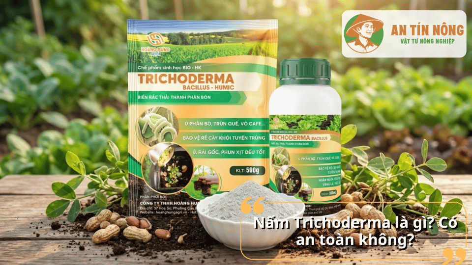 Nấm Trichoderma là gì và có an toàn khi sử dụng cho đất trồng không
