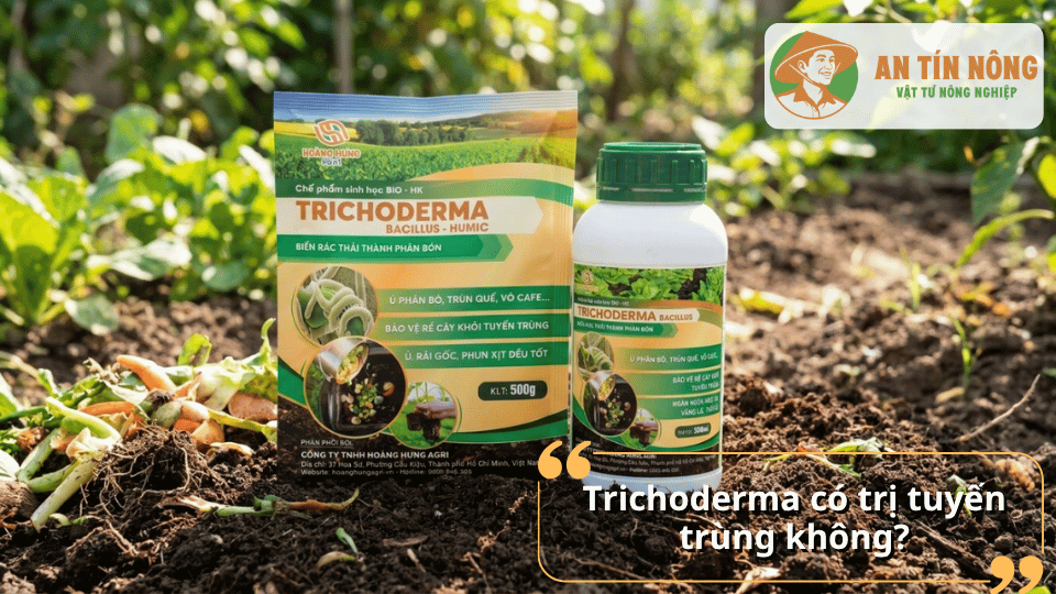 Chế phẩm Trichoderma hỗ trợ kiểm soát tuyến trùng trong đất