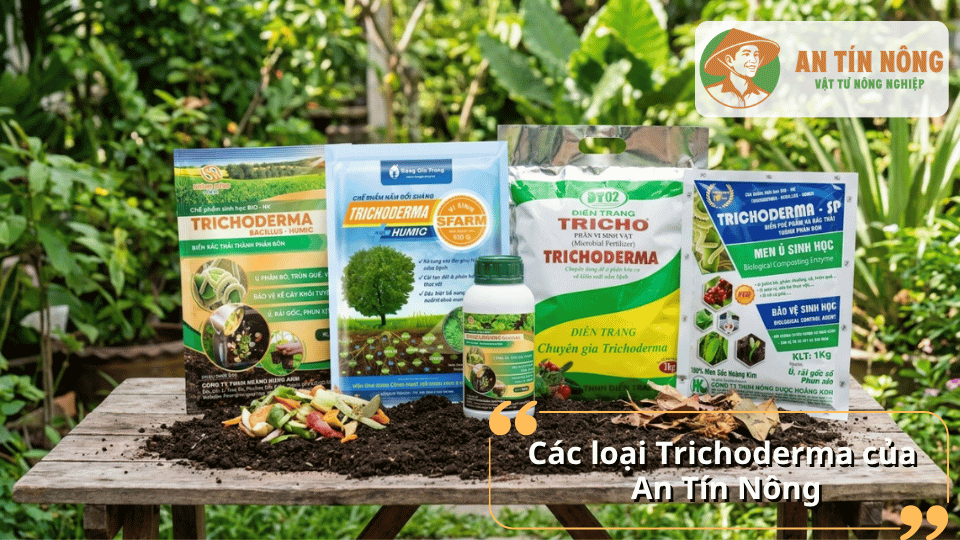 Đa dạng dòng sản phẩm Trichoderma phù hợp cho nhiều nhu cầu