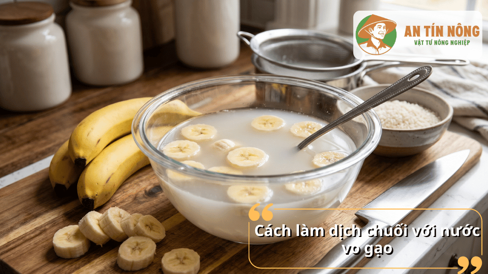 Cách làm dịch chuối bằng nước vo gạo giúp tăng dinh dưỡng và hỗ trợ cây phát triển tự nhiên.