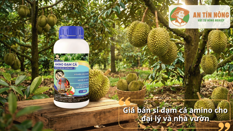 Giá bán sỉ đạm cá amino cho đại lý và nhà vườn sử dụng trong nông nghiệp hữu cơ