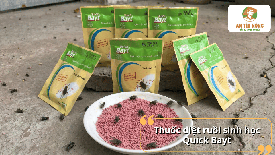 Thuốc diệt ruồi Quick Bayt dạng bả giúp tiêu diệt ruồi nhanh, giảm mật độ ruồi và hạn chế lây lan mầm bệnh