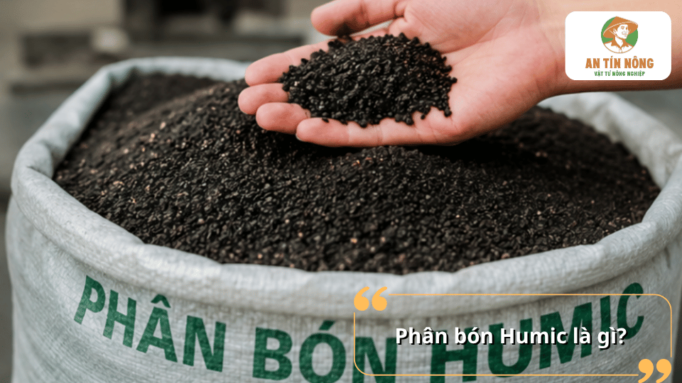 Phân bón Humic chứa axit humic giúp cải tạo đất, tăng khả năng giữ dinh dưỡng và phát triển bộ rễ cây.