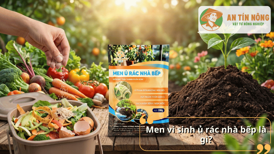Men vi sinh ủ rác nhà bếp hỗ trợ phân hủy rác hữu cơ nhanh chóng và sạch mùi