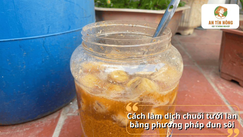 Hướng dẫn làm dịch chuối tưới lan bằng phương pháp đun sôi đơn giản và dễ thực hiện tại nhà.