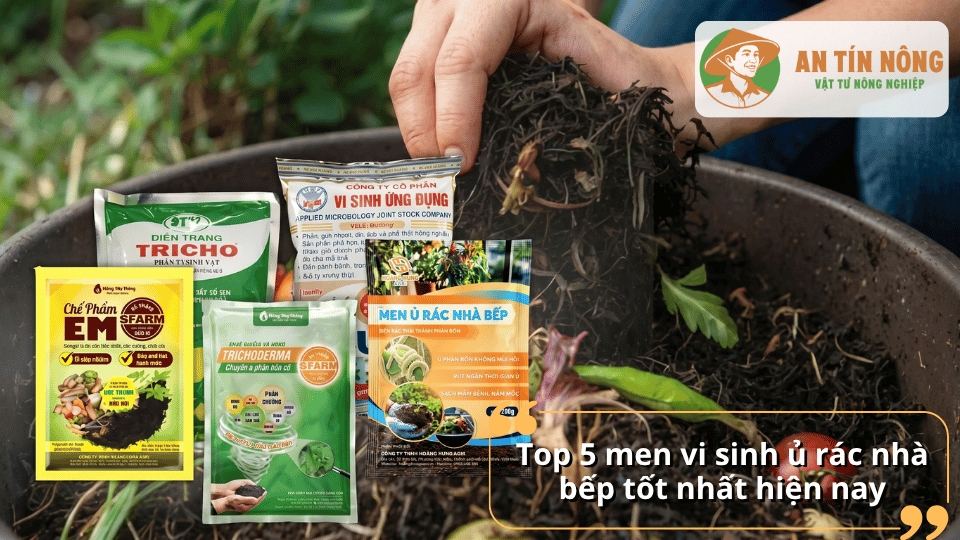 Top 5 men vi sinh ủ rác nhà bếp tốt nhất hiện nay cho compost hữu cơ tại nhà