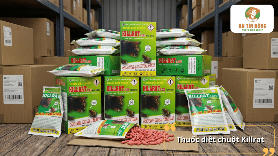 Thuốc diệt chuột Killrat dạng mồi giúp tiêu diệt chuột hiệu quả, phù hợp sử dụng trong gia đình, nhà kho và khu vực sản xuất.