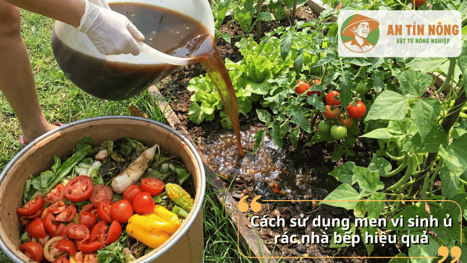 Cách sử dụng men vi sinh ủ rác nhà bếp hiệu quả cho rau sạch và cây trồng