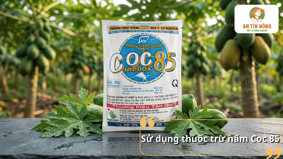 Thuốc trừ nấm Coc 85 được sử dụng để phòng và xử lý bệnh đốm lá trên cây đu đủ do nấm gây hại.