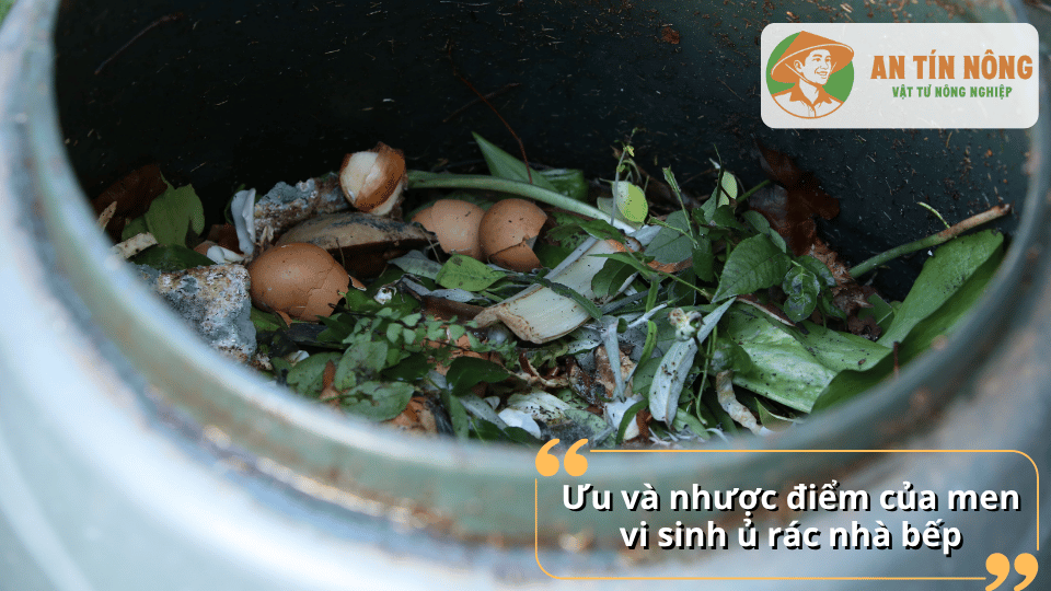 Ưu và nhược điểm của men vi sinh ủ rác nhà bếp khi sử dụng tại gia đình
