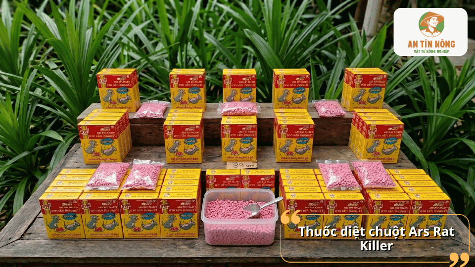 Thuốc diệt chuột Ars Rat Killer dạng viên mồi giúp kiểm soát chuột hiệu quả, dễ sử dụng và phù hợp nhiều khu vực khác nhau.