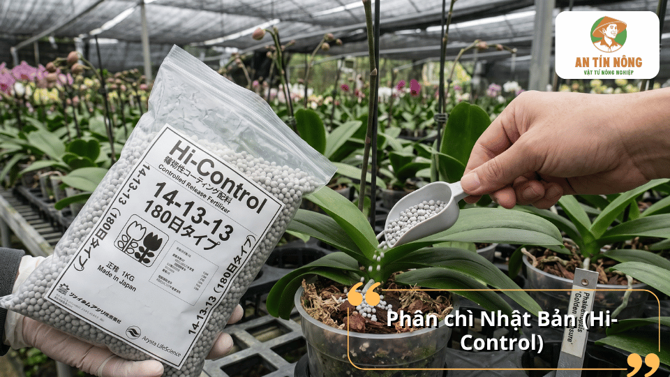 Phân chì Nhật Bản Hi-Control dành cho lan giúp cung cấp dinh dưỡng kéo dài và hạn chế thất thoát phân bón.