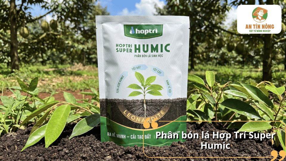 Phân bón Hợp Trí Super Humic giúp cải tạo đất, kích thích ra rễ và tăng độ tơi xốp cho đất trồng.