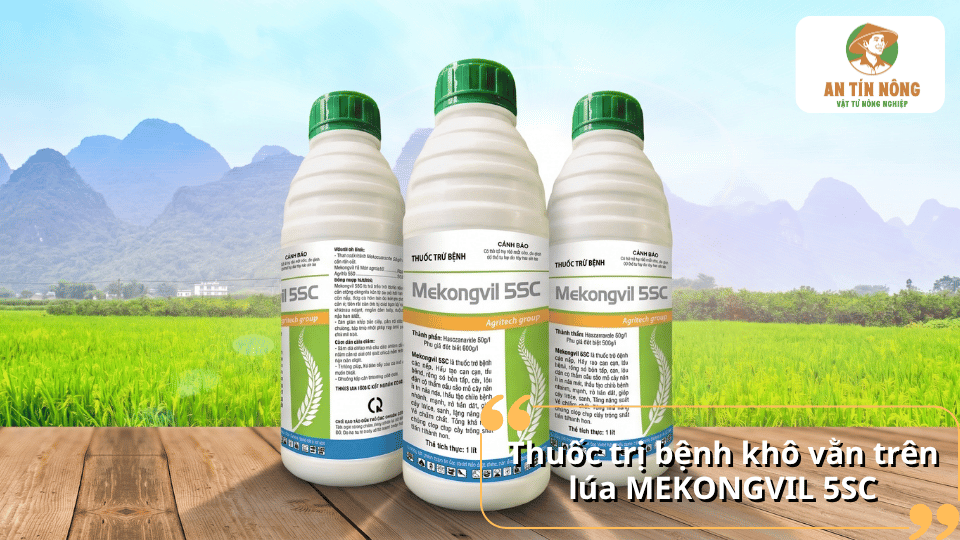 Thuốc Mekongvil 5SC đặc trị bệnh khô vằn trên lúa, giảm nhanh triệu chứng và hạn chế tái phát.