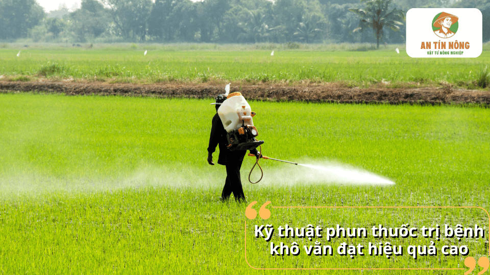 Nông dân phun thuốc trị bệnh khô vằn trên lúa đúng kỹ thuật để nâng cao hiệu quả phòng trừ nấm bệnh.
