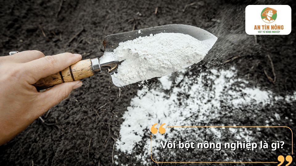 Vôi bột nông nghiệp dùng để cải tạo đất và khử chua cho cây tiêu