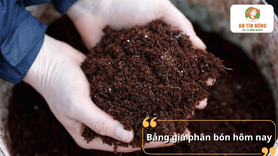 Các yếu tố ảnh hưởng đến giá phân bón hôm nay như nguyên liệu và chi phí sản xuất.