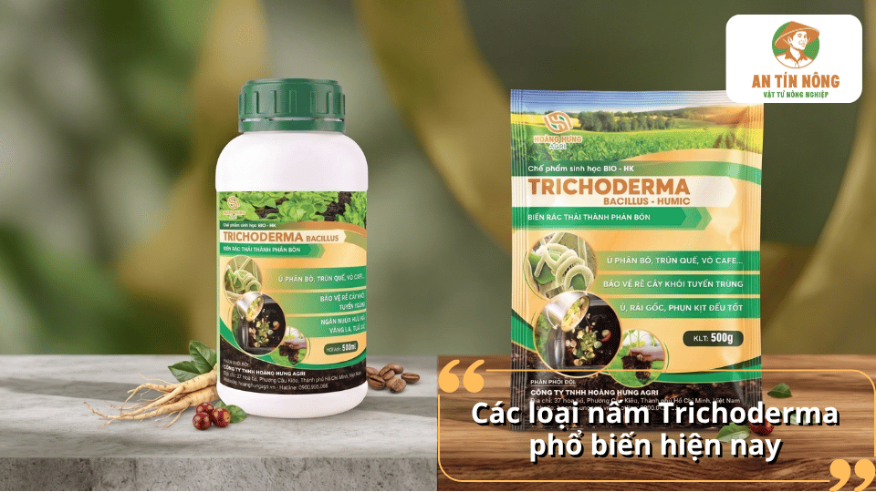 Các chế phẩm nấm Trichoderma Bacillus Humic phổ biến hiện nay