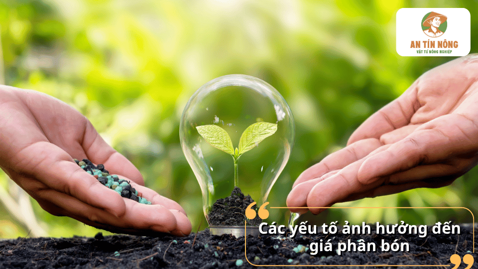 Các yếu tố tác động đến giá phân bón hôm nay và xu hướng biến động thị trường.