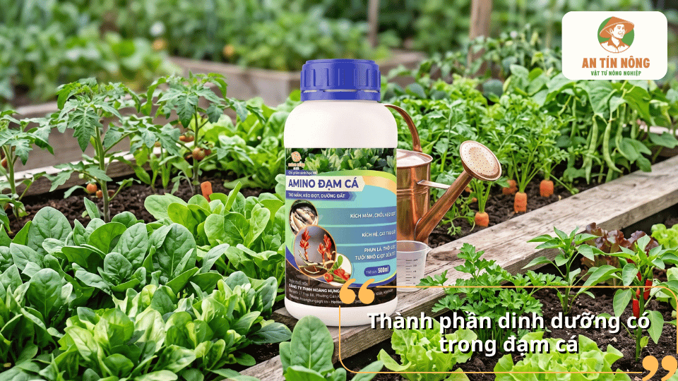 Thành phần dinh dưỡng trong đạm cá giúp rau phát triển khỏe, xanh lá và tăng năng suất.