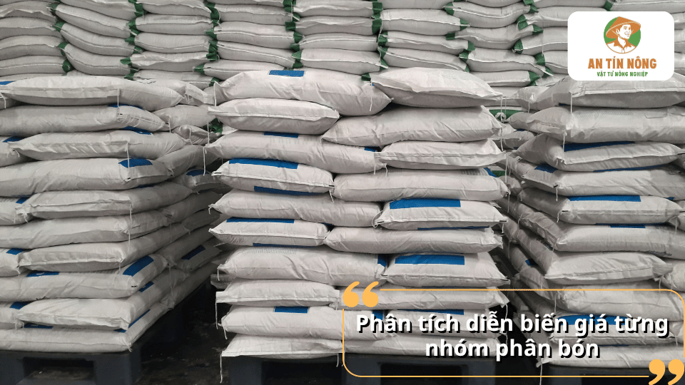 Phân tích diễn biến giá phân bón hôm nay theo từng nhóm phân bón phổ biến trên thị trường.