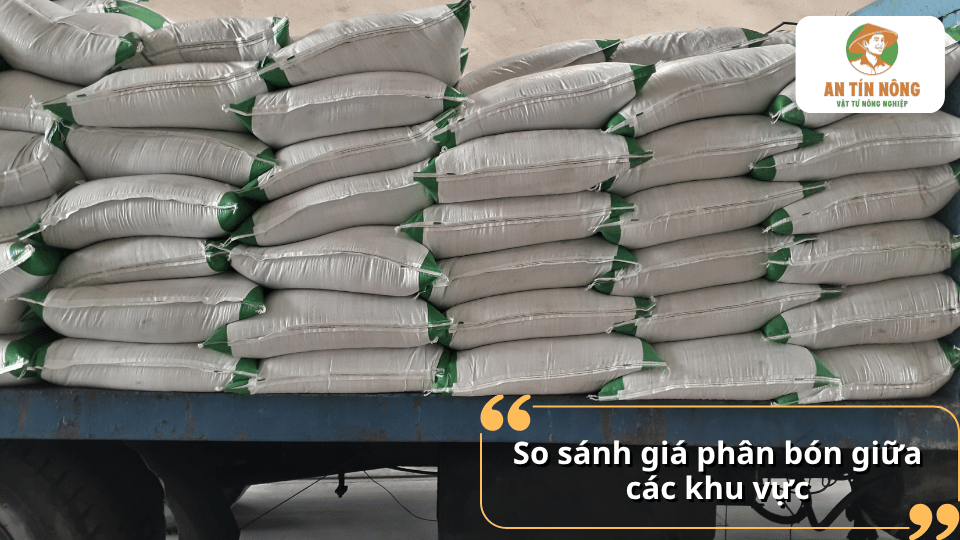 So sánh giá phân bón hôm nay giữa các khu vực để lựa chọn nguồn mua phù hợp.
