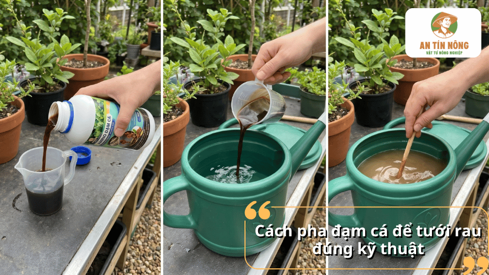 Cách pha đạm cá để tưới rau đúng tỷ lệ giúp cây hấp thu dinh dưỡng an toàn và hiệu quả.