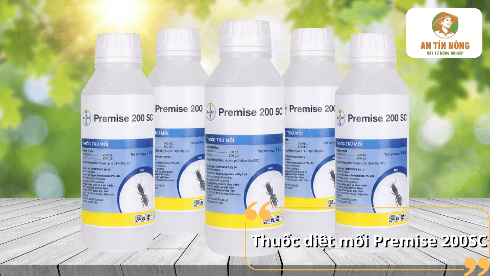 Thuốc diệt mối Premise 200SC xử lý mối cho công trình
