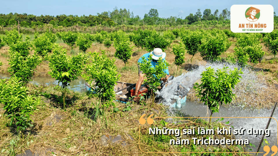 Những sai lầm thường gặp khi sử dụng nấm Trichoderma cho cây trồng