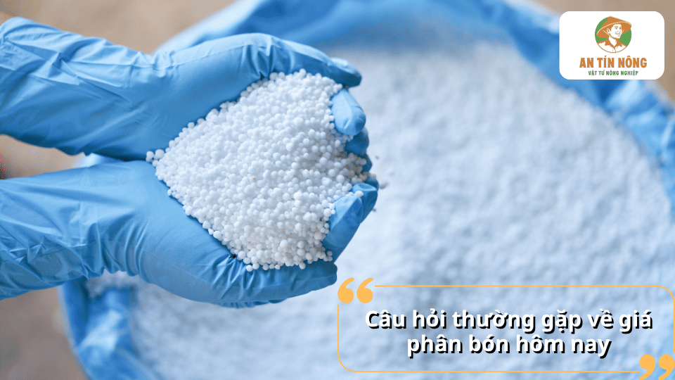 Giải đáp câu hỏi thường gặp về giá phân bón hôm nay và cách lựa chọn sản phẩm phù hợp.