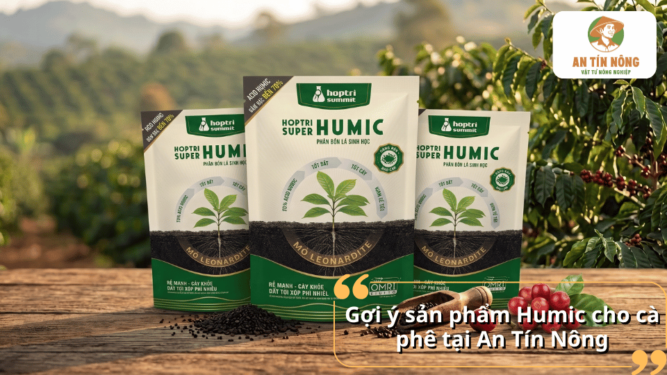 Gợi ý sản phẩm Humic cho cà phê chính hãng tại An Tín Nông.