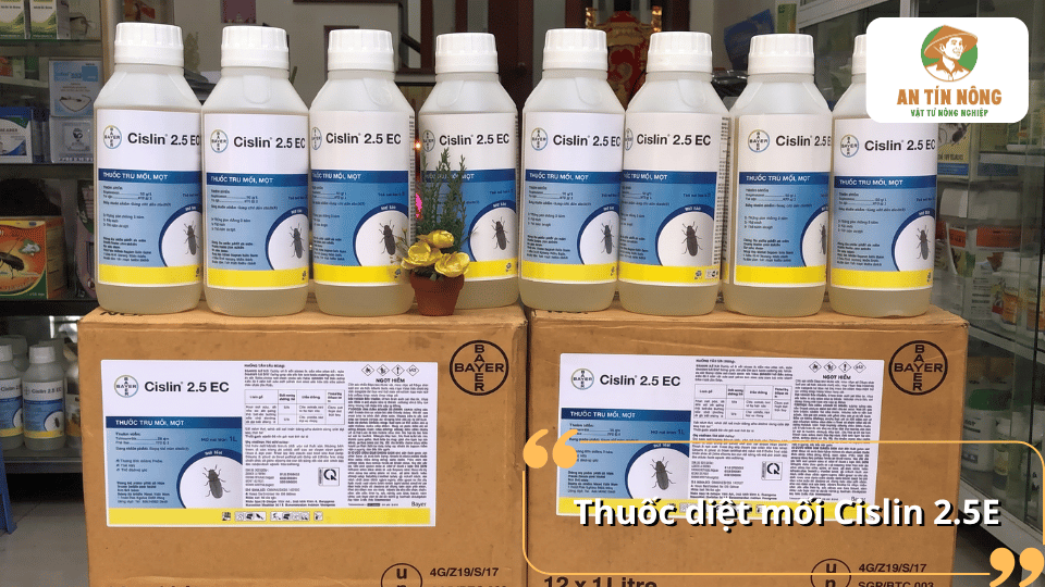 Thuốc diệt mối Cislin 2.5EC phòng chống mối mọt