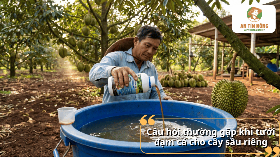 Giải đáp các câu hỏi thường gặp về cách tưới đạm cá cho cây sầu riêng, liều lượng, thời điểm và cách sử dụng hiệu quả.