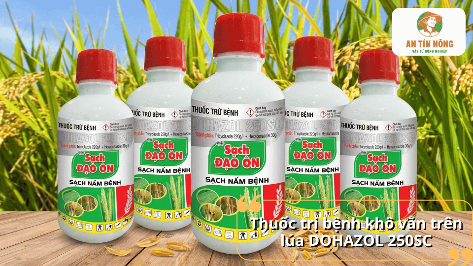 Thuốc Dohazol 250SC trị bệnh khô vằn trên lúa, kiểm soát nấm gây hại và bảo vệ cây lúa hiệu quả.