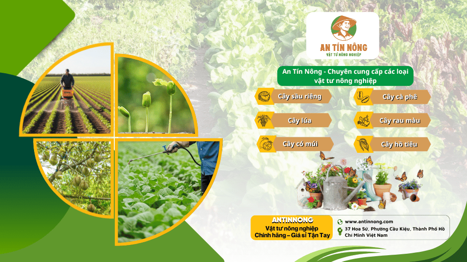 An Tín Nông – đồng hành cùng bà con với đầy đủ vật tư chuẩn chính hãng – giá sỉ tận tay.