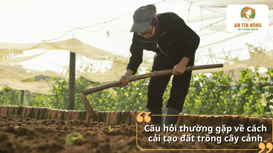 Câu hỏi thường gặp về cách cải tạo đất trồng cây cảnh và những phương pháp giúp đất tơi xốp, giàu dinh dưỡng.