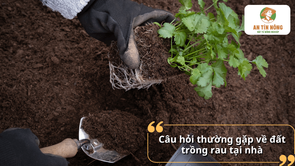 Câu hỏi thường gặp về đất trồng rau tại nhà và cách lựa chọn đất phù hợp.