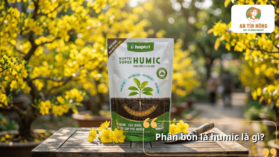 Phân bón lá Humic là gì và những đặc điểm cơ bản của loại phân bón hữu cơ này.
