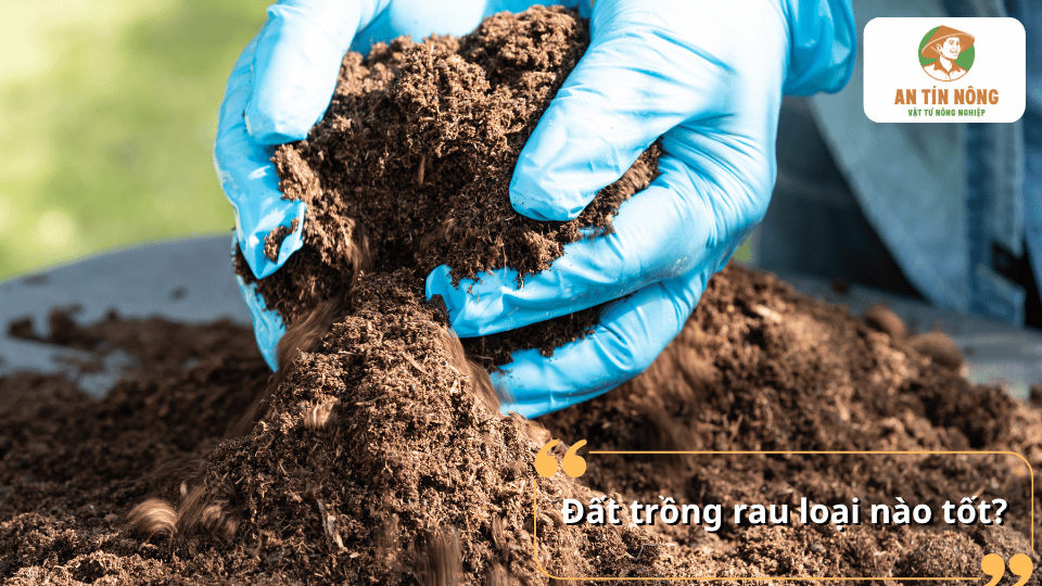 Đất trồng rau loại nào tốt? Hướng dẫn chọn đất phù hợp cho rau tại nhà.