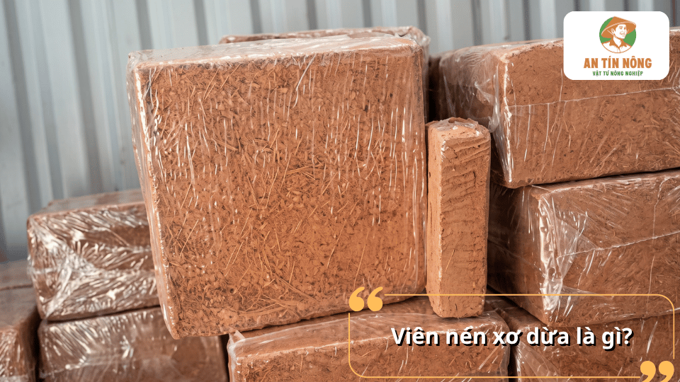 Viên nén xơ dừa dạng viên nén được sử dụng làm giá thể trồng cây và ươm hạt giống.